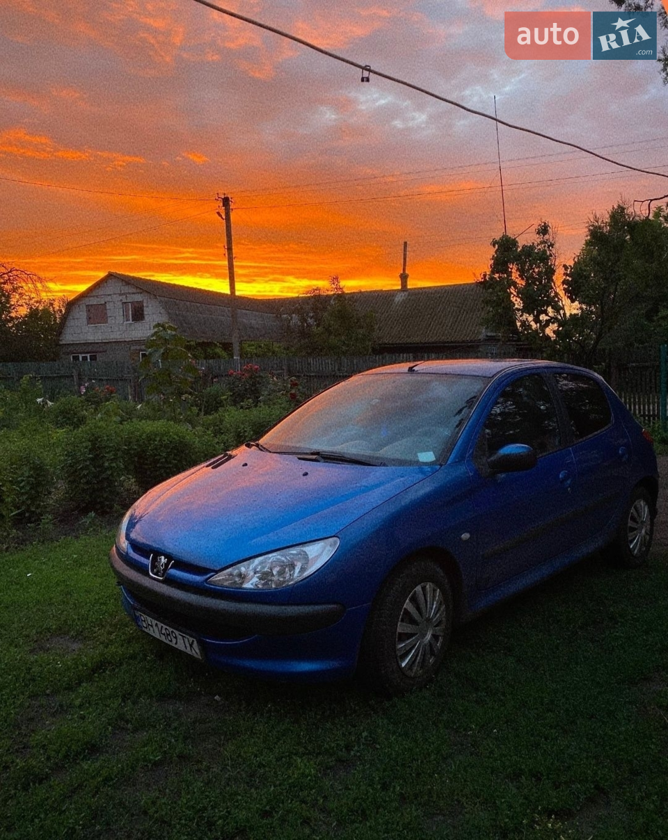 2003 Peugeot 206 - мініатюра 11