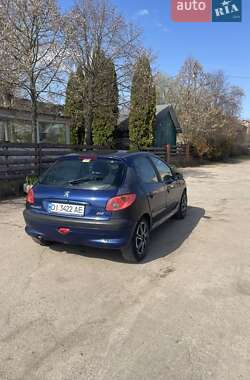 Хетчбек Peugeot 206 2003 в Бердичеві