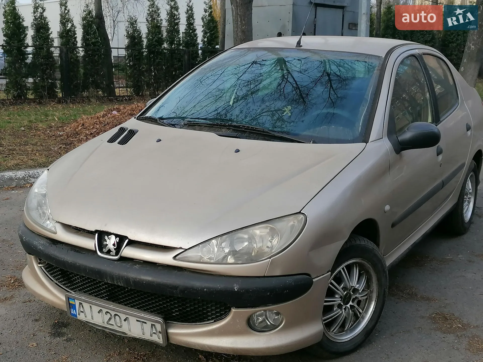 2006 Peugeot 206 - мініатюра 2
