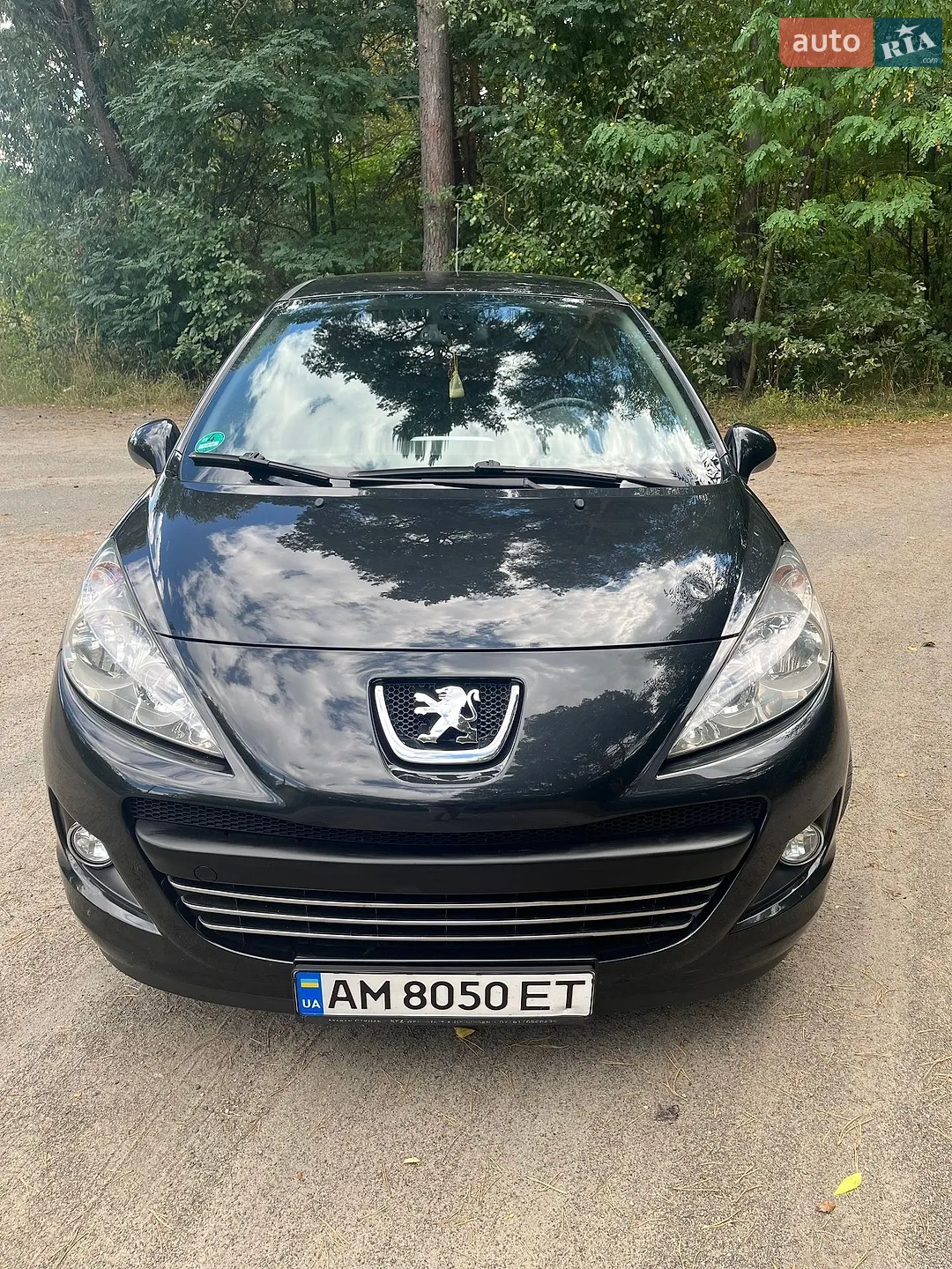 2010 Peugeot 207 - мініатюра 6