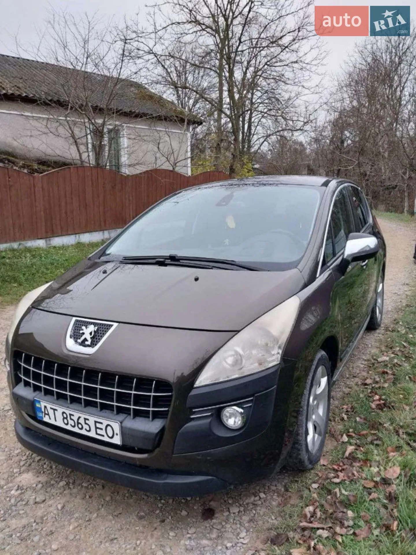 2010 Peugeot 3008 - фото 1