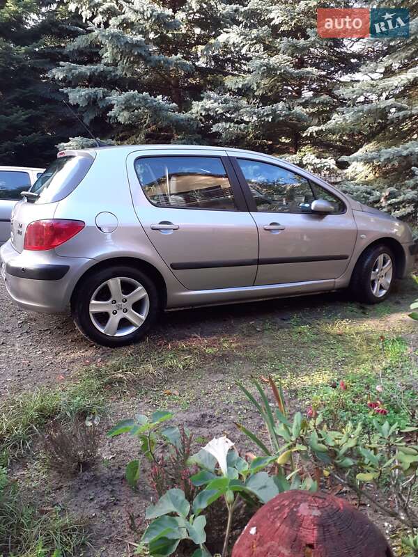 Хетчбек Peugeot 307 2004 в Жмеринці