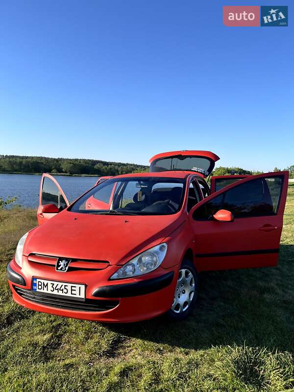 Хэтчбек Peugeot 307 2002 в Шостке