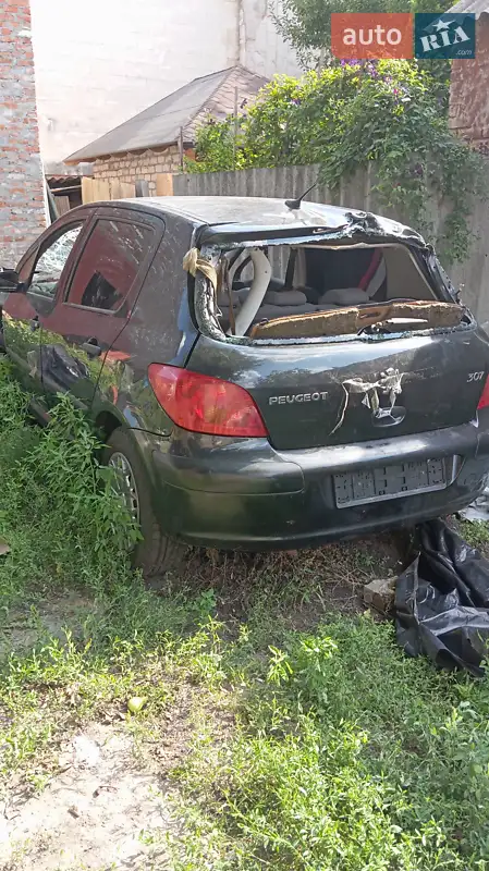 Peugeot 307 2002