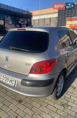 Хэтчбек Peugeot 307 2004 в Луцке