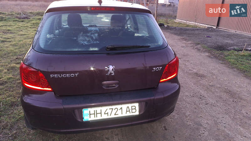 Хетчбек Peugeot 307 2006 в Чорноморську фото 14 Хетчбек Peugeot 307 2006 в Чорноморську