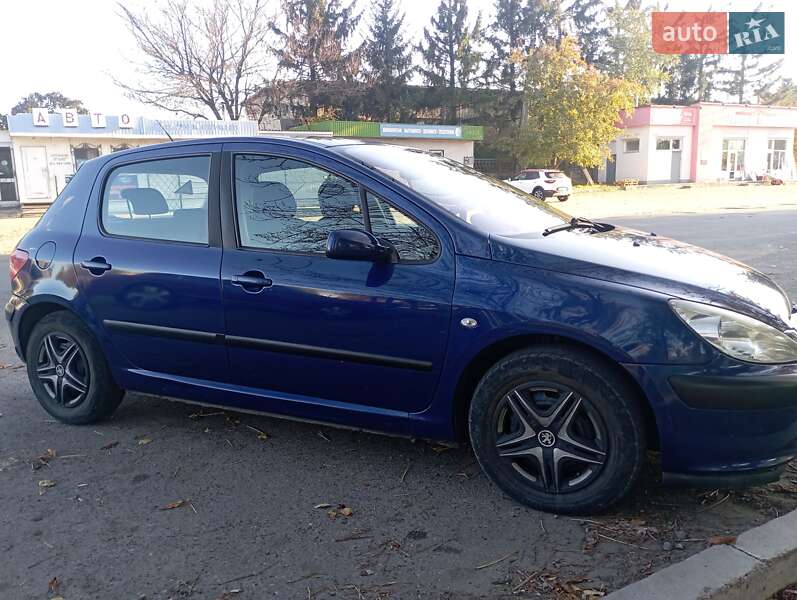 Хэтчбек Peugeot 307 2003 в Тальном фото 6 Хэтчбек Peugeot 307 2003 в Тальном