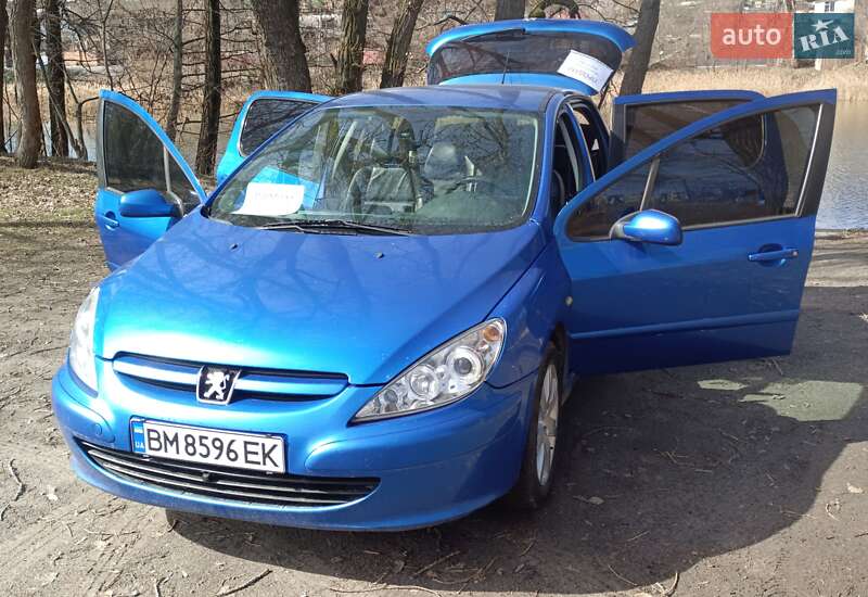 Хэтчбек Peugeot 307 2004 в 