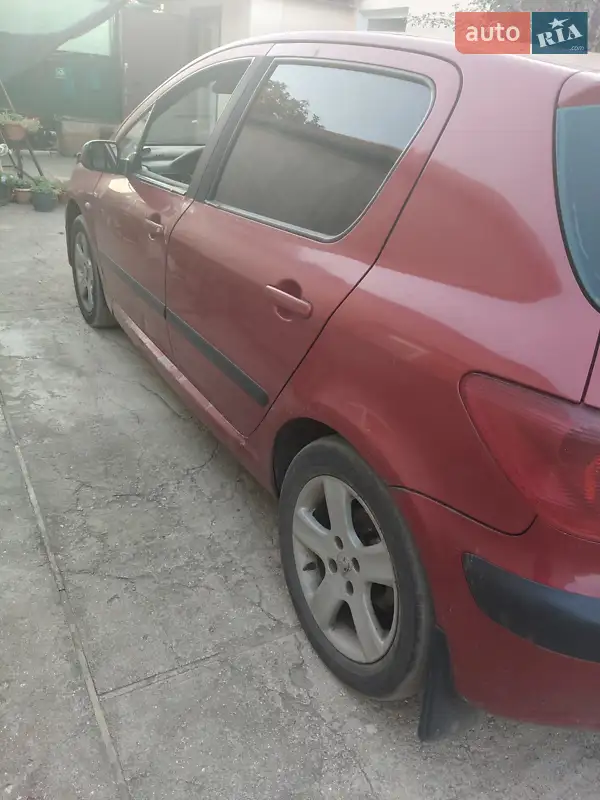 Peugeot 307 2004