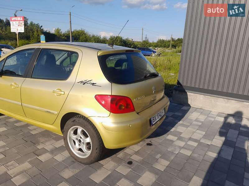 Хетчбек Peugeot 307 2004 в Шепетівці