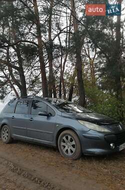 Универсал Peugeot 307 2007 в Кропивницком