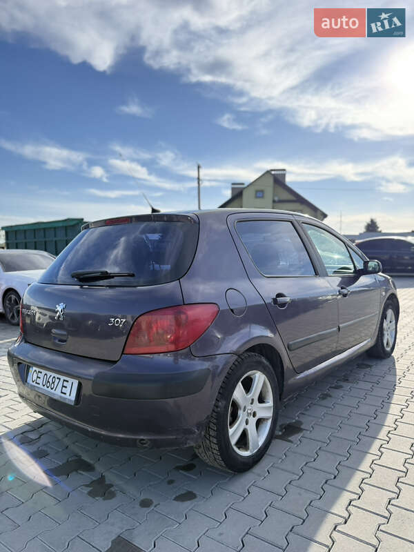 Хетчбек Peugeot 307 2002 в Кам'янець-Подільському