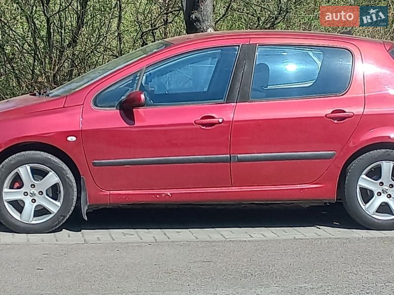 Хэтчбек Peugeot 307 2004 в Ужгороде