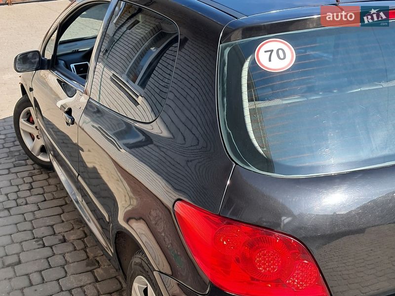 Хетчбек Peugeot 307 2006 в Житомирі