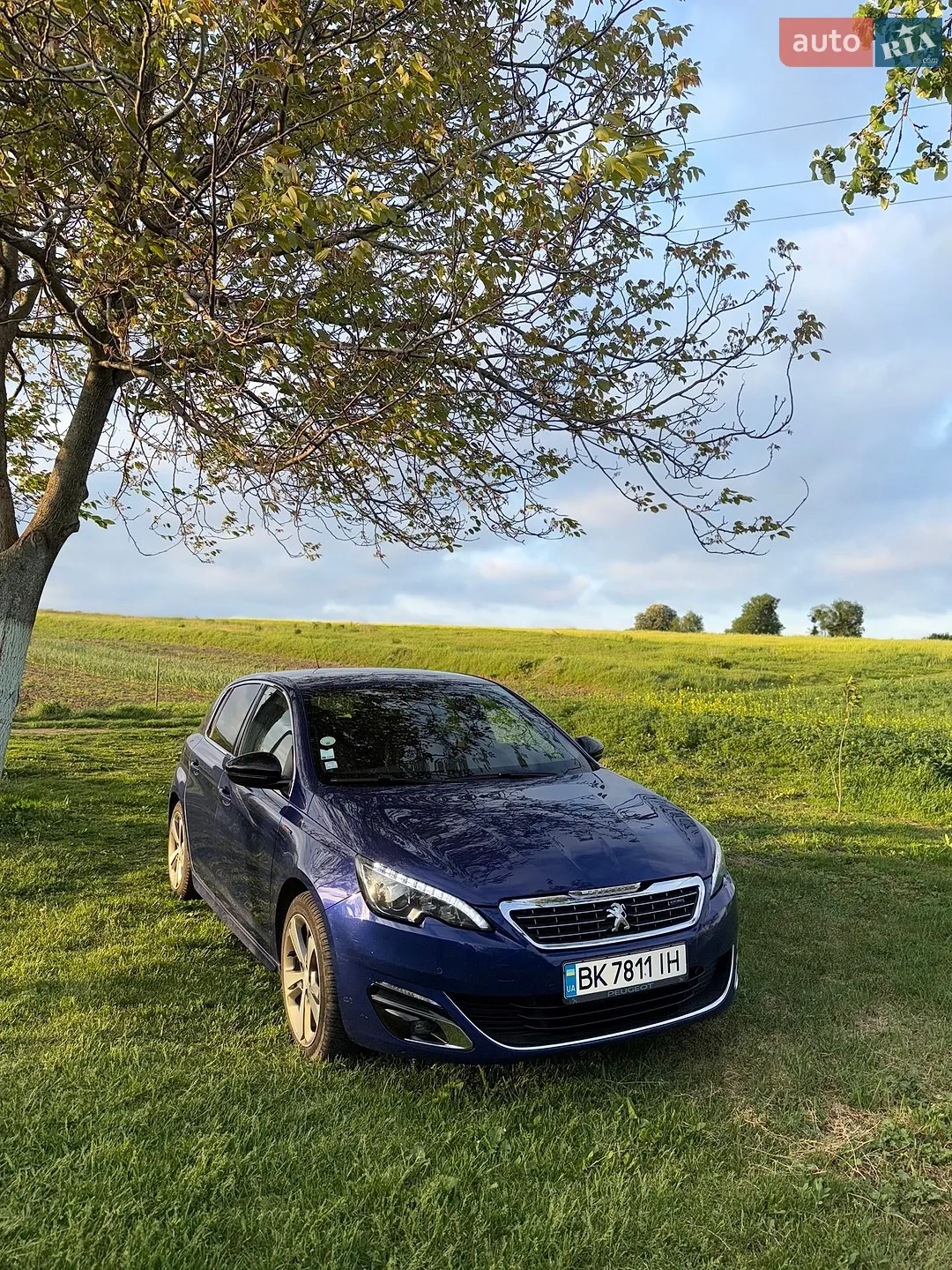 2016 Peugeot 308 - мініатюра 6