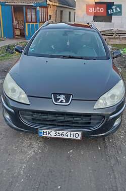 Универсал Peugeot 407 2005 в 