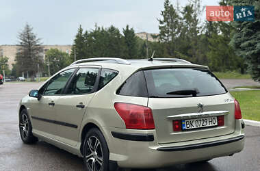 Универсал Peugeot 407 2004 в 