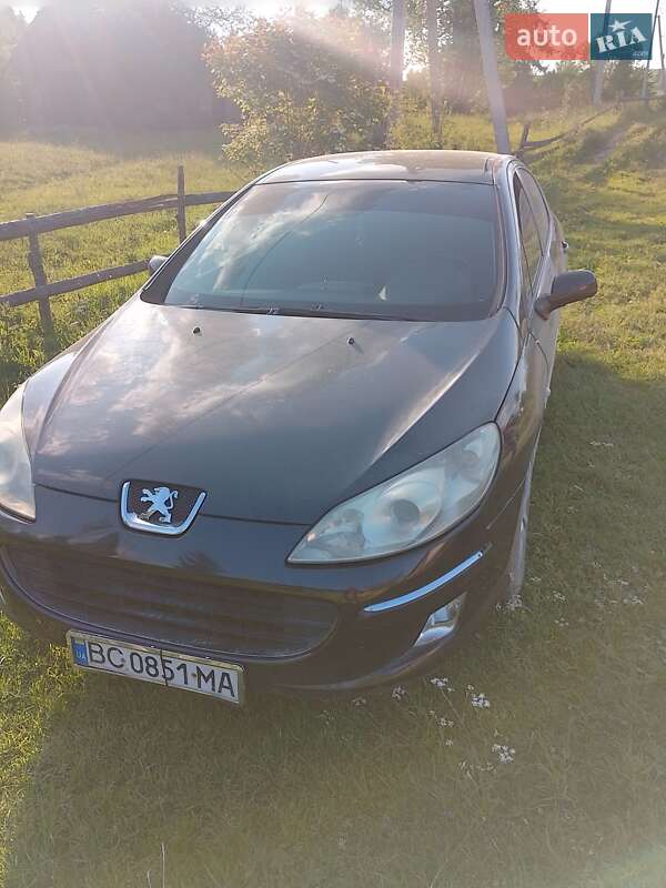 Peugeot 407 2005 Peugeot 407 2005