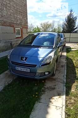 Микровэн Peugeot 5008 2009 в Стрые