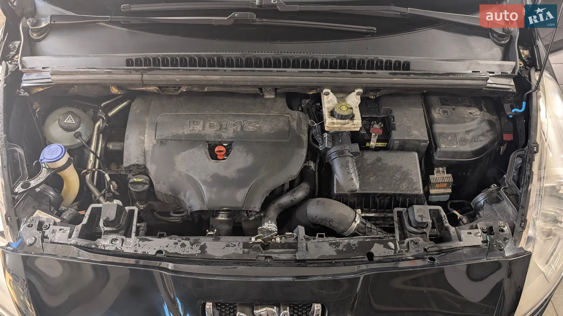 2010 Peugeot 5008 - мініатюра 6