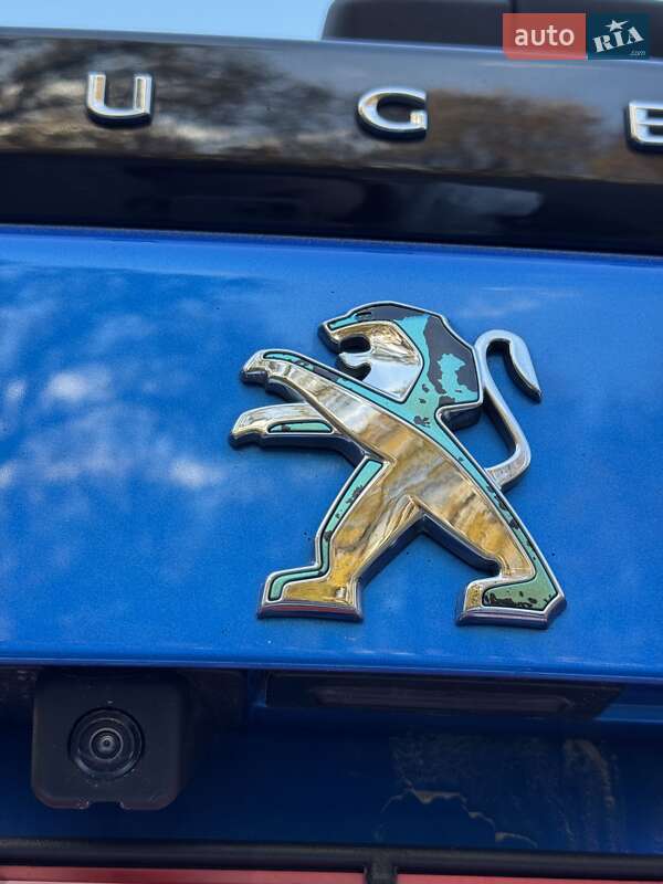 Внедорожник / Кроссовер Peugeot e-2008 2020 в Хмельницком фото 30 Внедорожник / Кроссовер Peugeot e-2008 2020 в Хмельницком