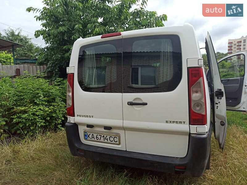 Мікроавтобус Peugeot Expert 2007 в Кагарлику