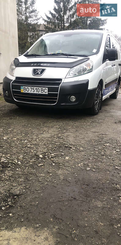 Мінівен Peugeot Expert 2007 в Кременці