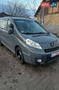 Грузовой фургон Peugeot Expert 1995 в Краматорске