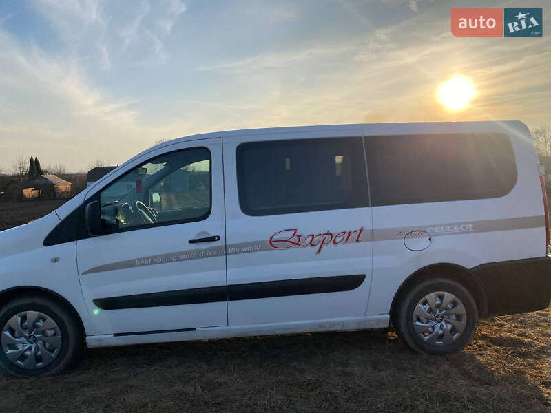 Мінівен Peugeot Expert 2007 в Хмільнику