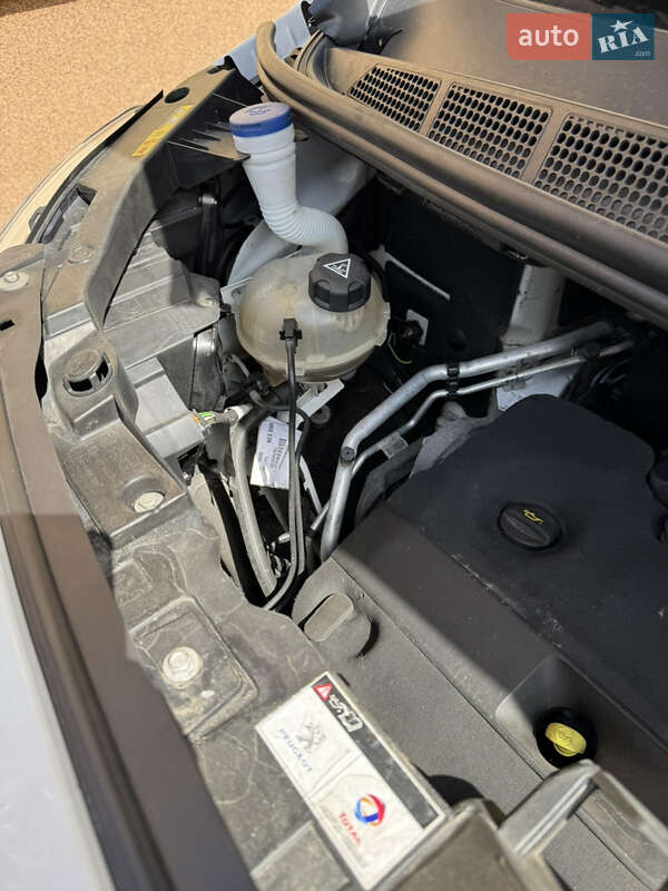 Мінівен Peugeot Expert 2020 в Житомирі фото 29 Мінівен Peugeot Expert 2020 в Житомирі