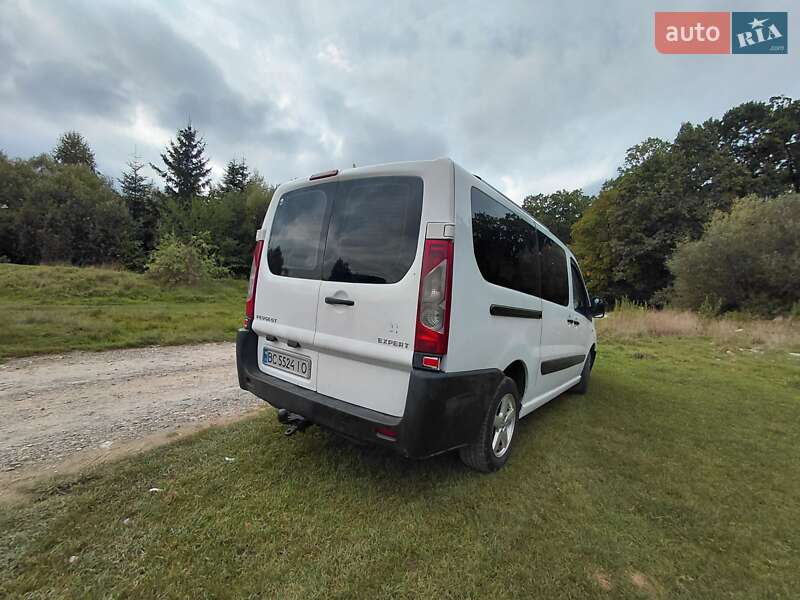 Минивэн Peugeot Expert 2009 в Трускавце