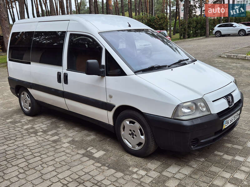 Мінівен Peugeot Expert 2005 в Славуті