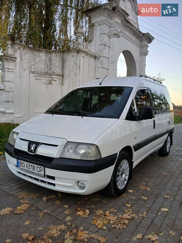 Минивэн Peugeot Expert 2005 в Кременце