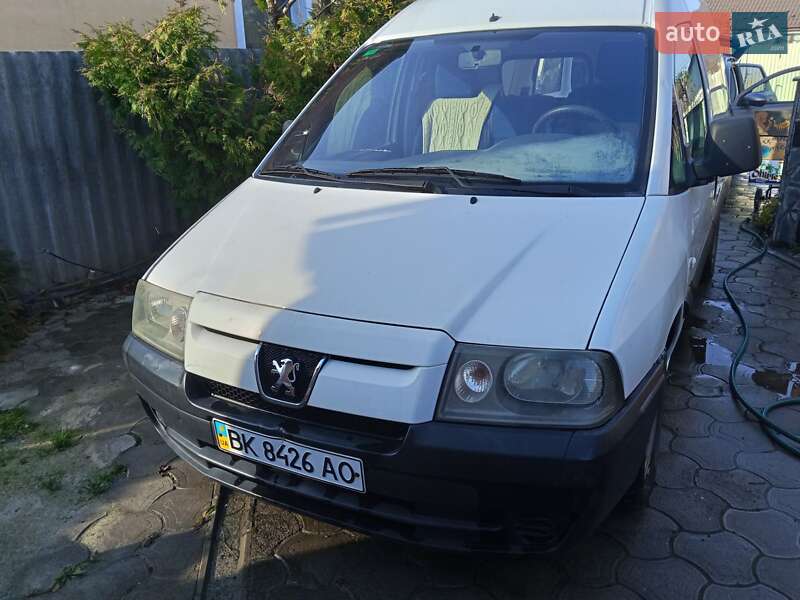 Грузовой фургон Peugeot Expert 2004 в Здолбунове