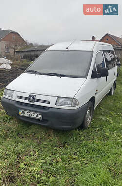 Мінівен Peugeot Expert 1996 в Вузловому
