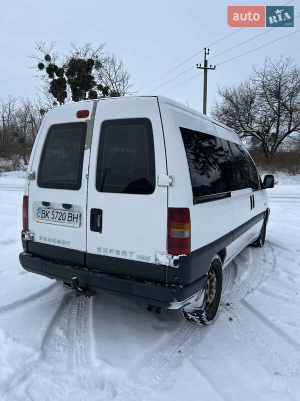 Минивэн Peugeot Expert 2006 в Клевани
