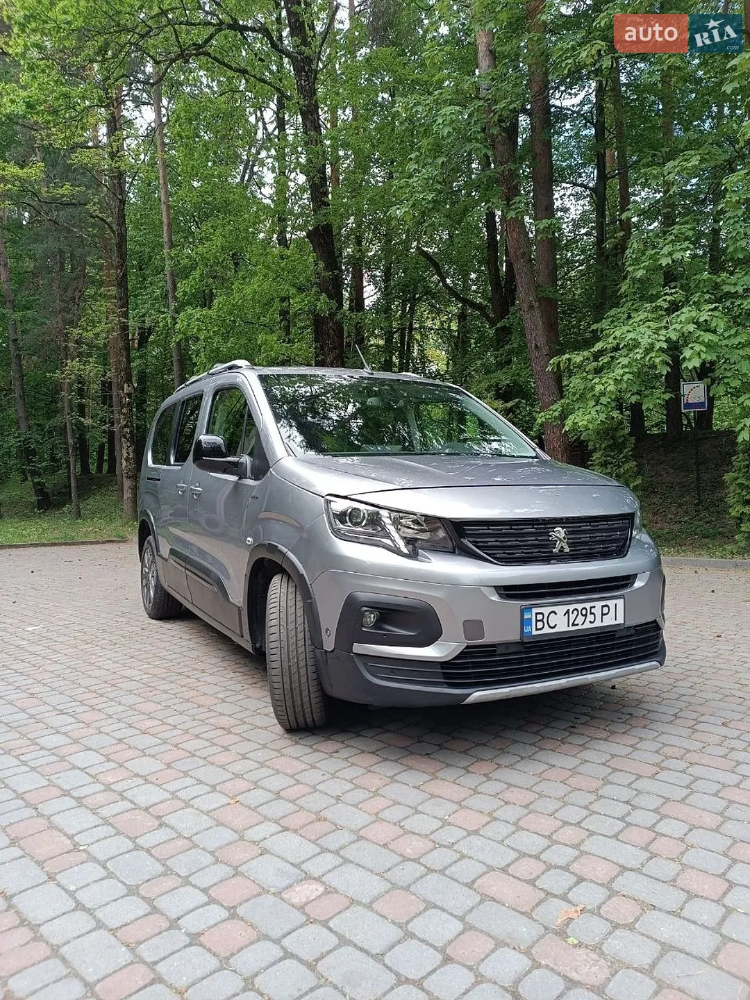 2019 Peugeot Rifter - мініатюра 7