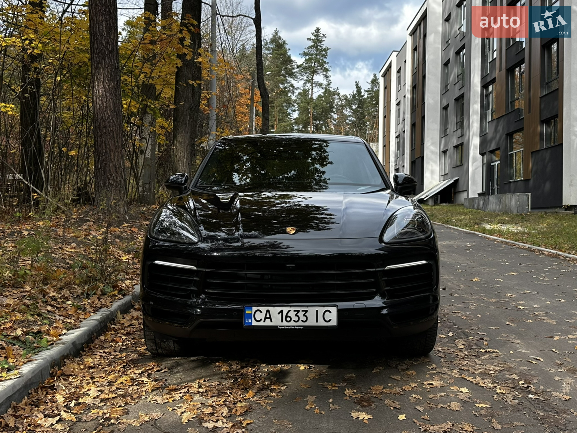 2019 Porsche Cayenne - мініатюра 2