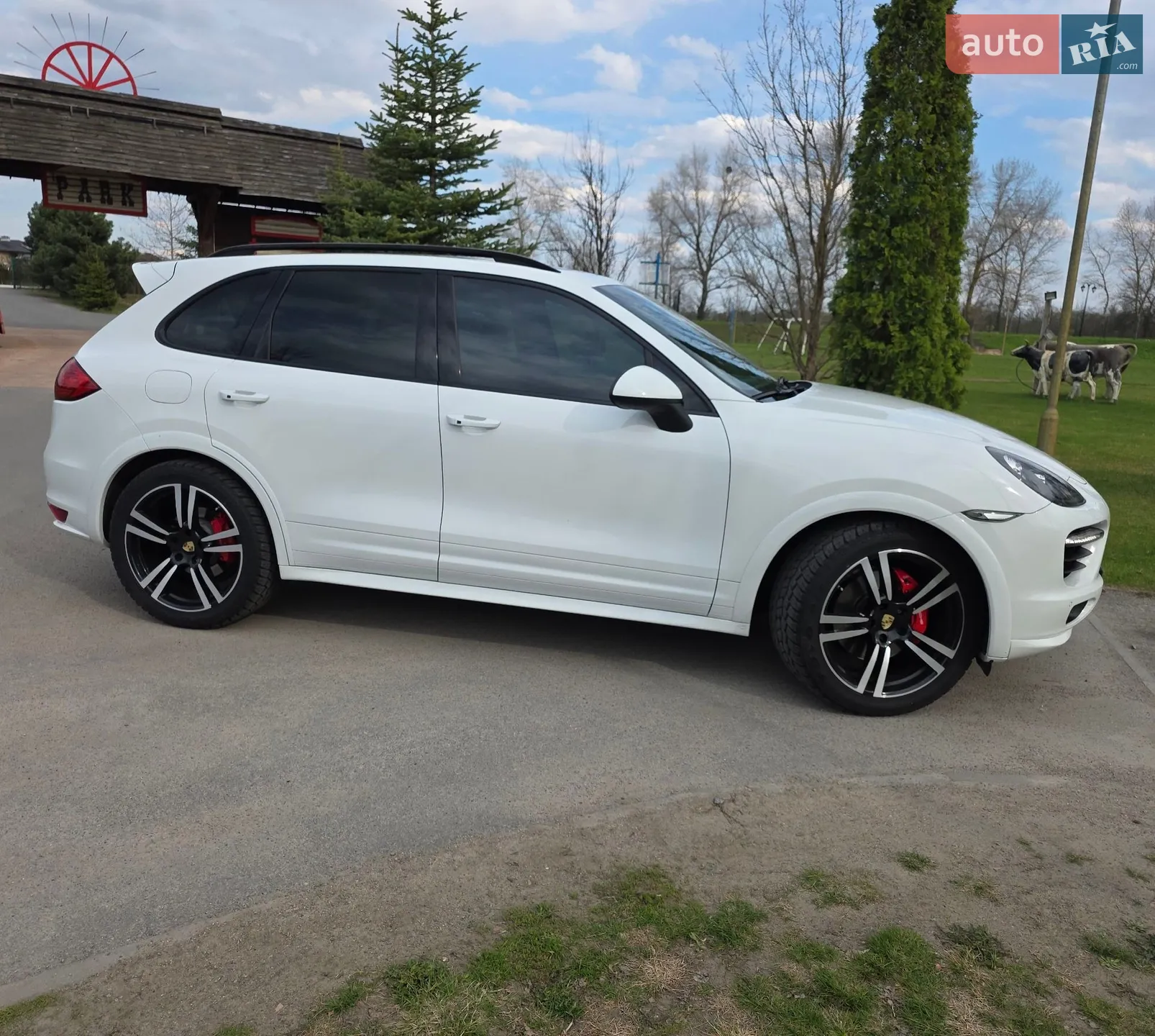 2014 Porsche Cayenne - мініатюра 4