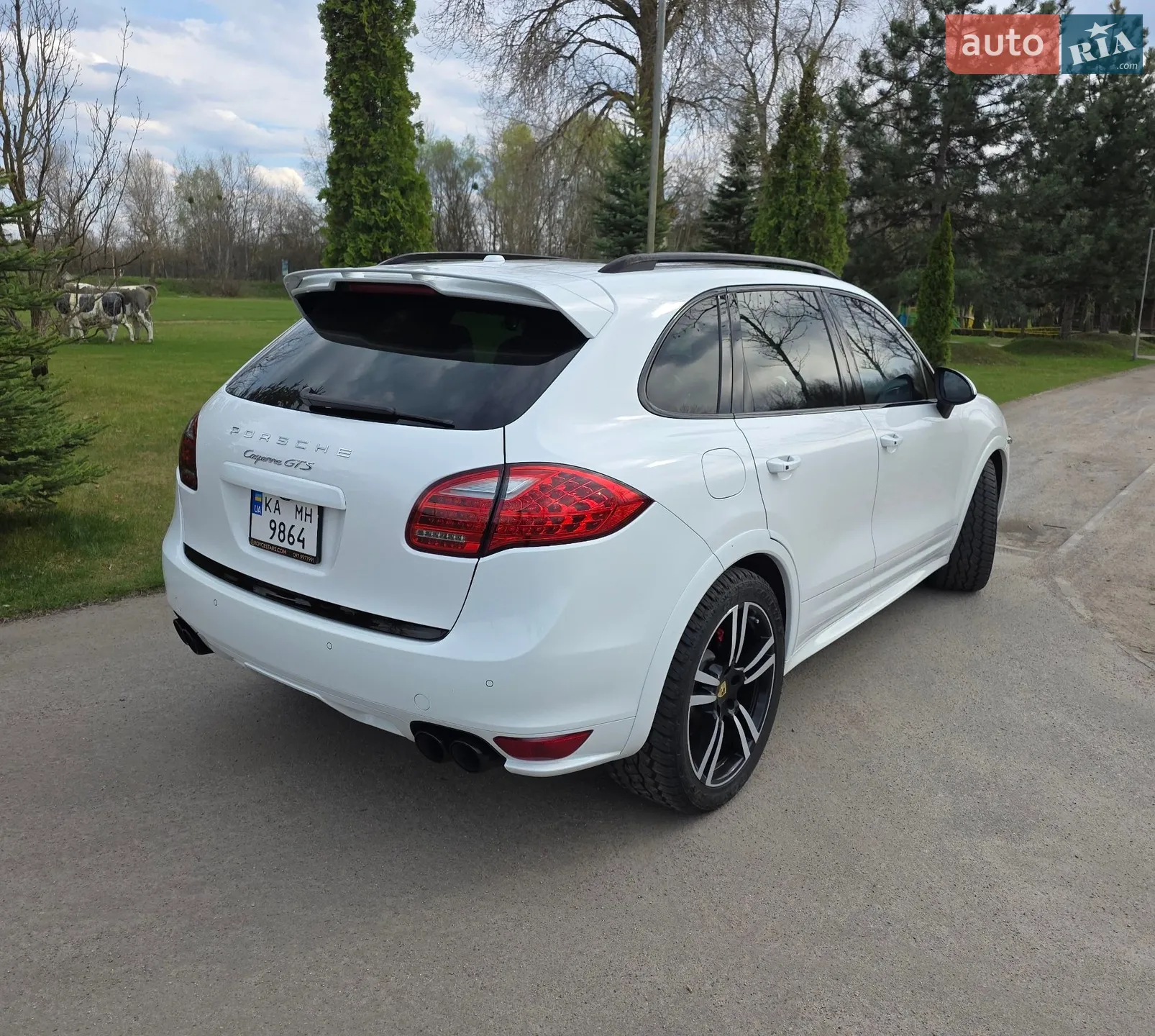 2014 Porsche Cayenne - мініатюра 5