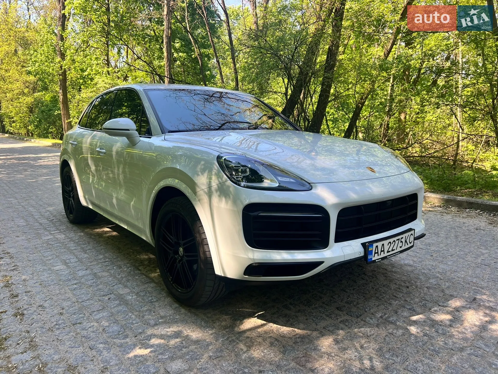 2019 Porsche Cayenne - мініатюра 3
