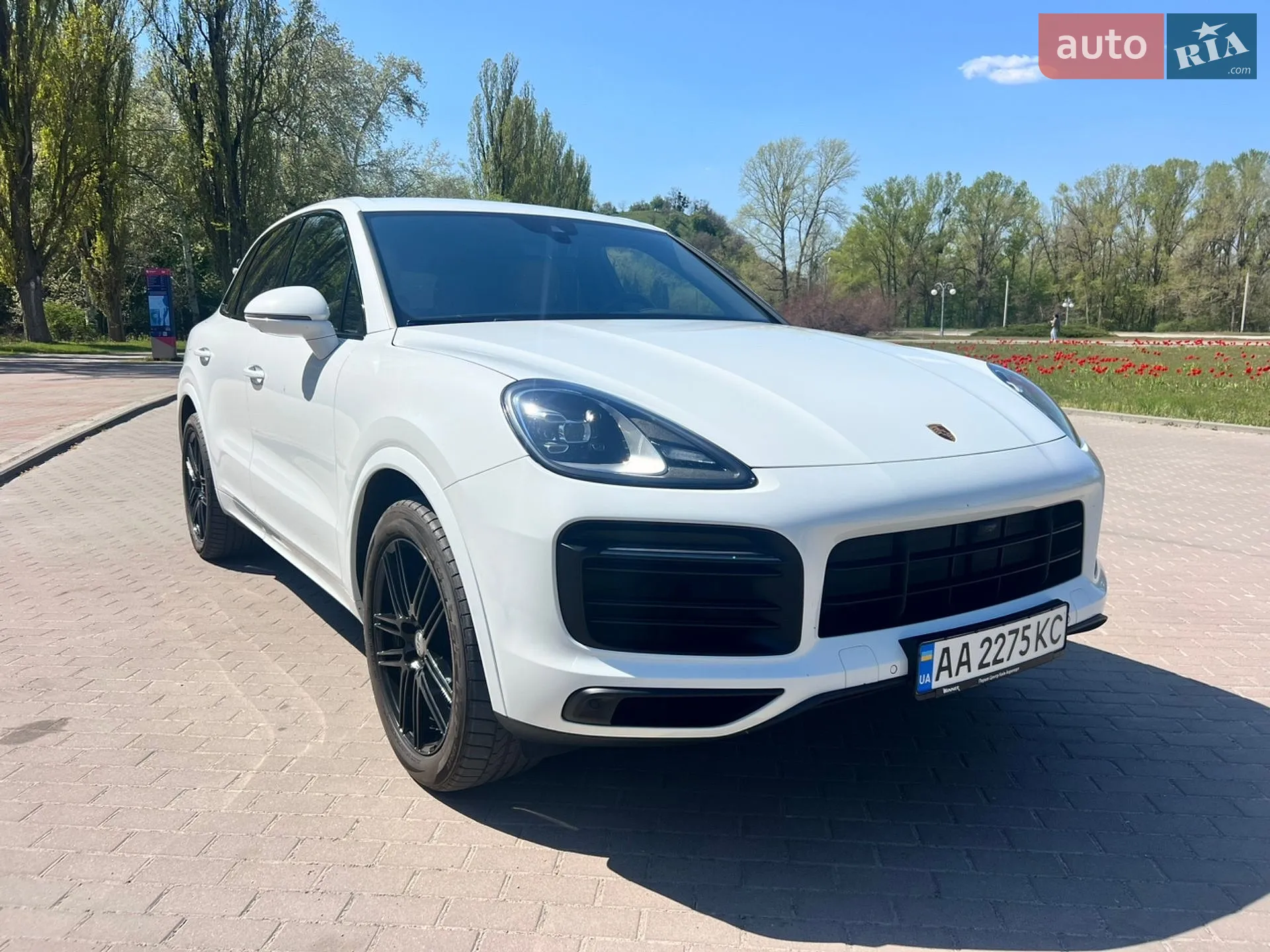 2019 Porsche Cayenne - мініатюра 19
