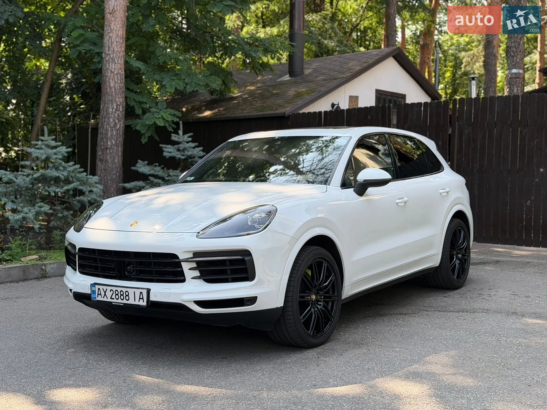 2019 Porsche Cayenne - мініатюра 3