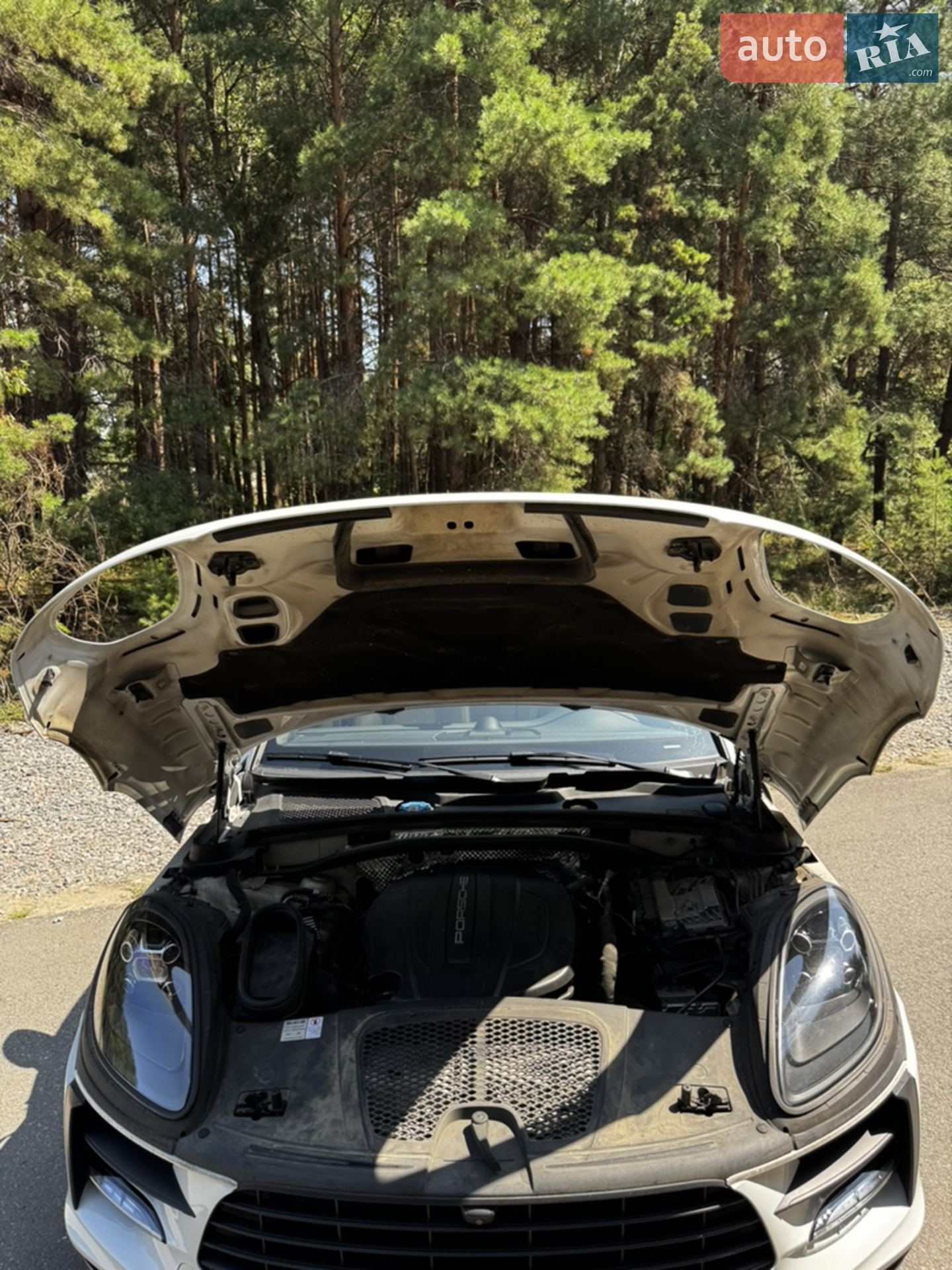 2019 Porsche Macan - мініатюра 9