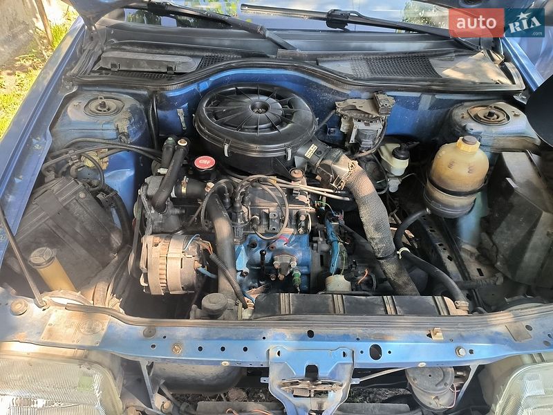 Хетчбек Renault 19 1992 в Красилові