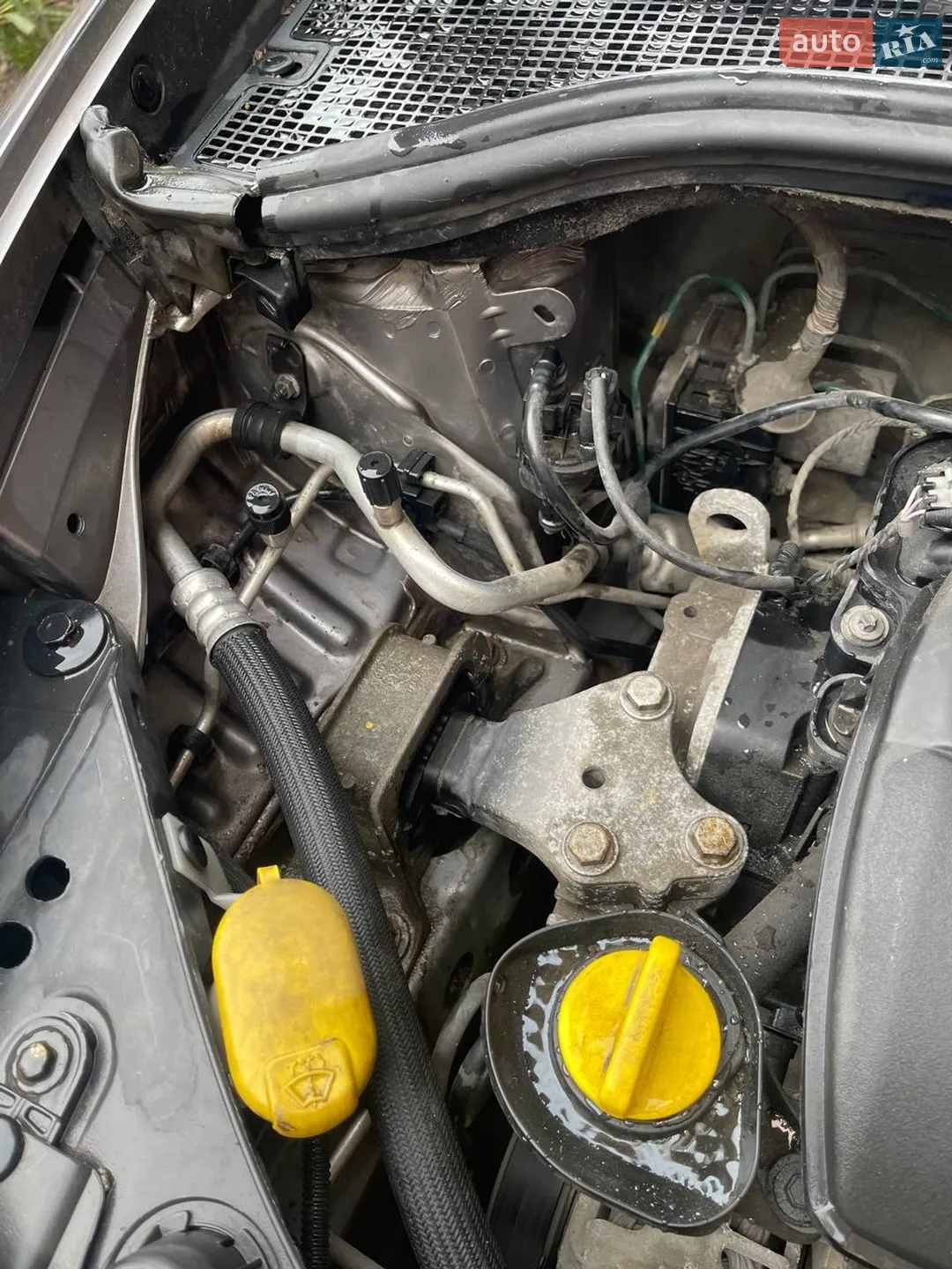 2010 Renault Clio - мініатюра 18