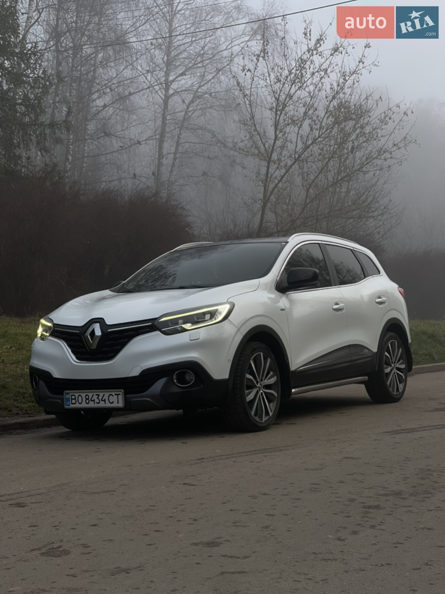 2015 Renault Kadjar - мініатюра 2