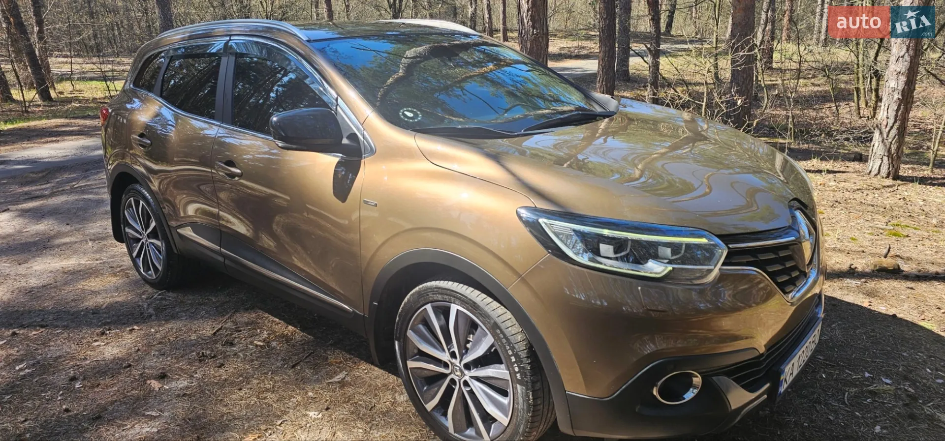 2017 Renault Kadjar - мініатюра 13