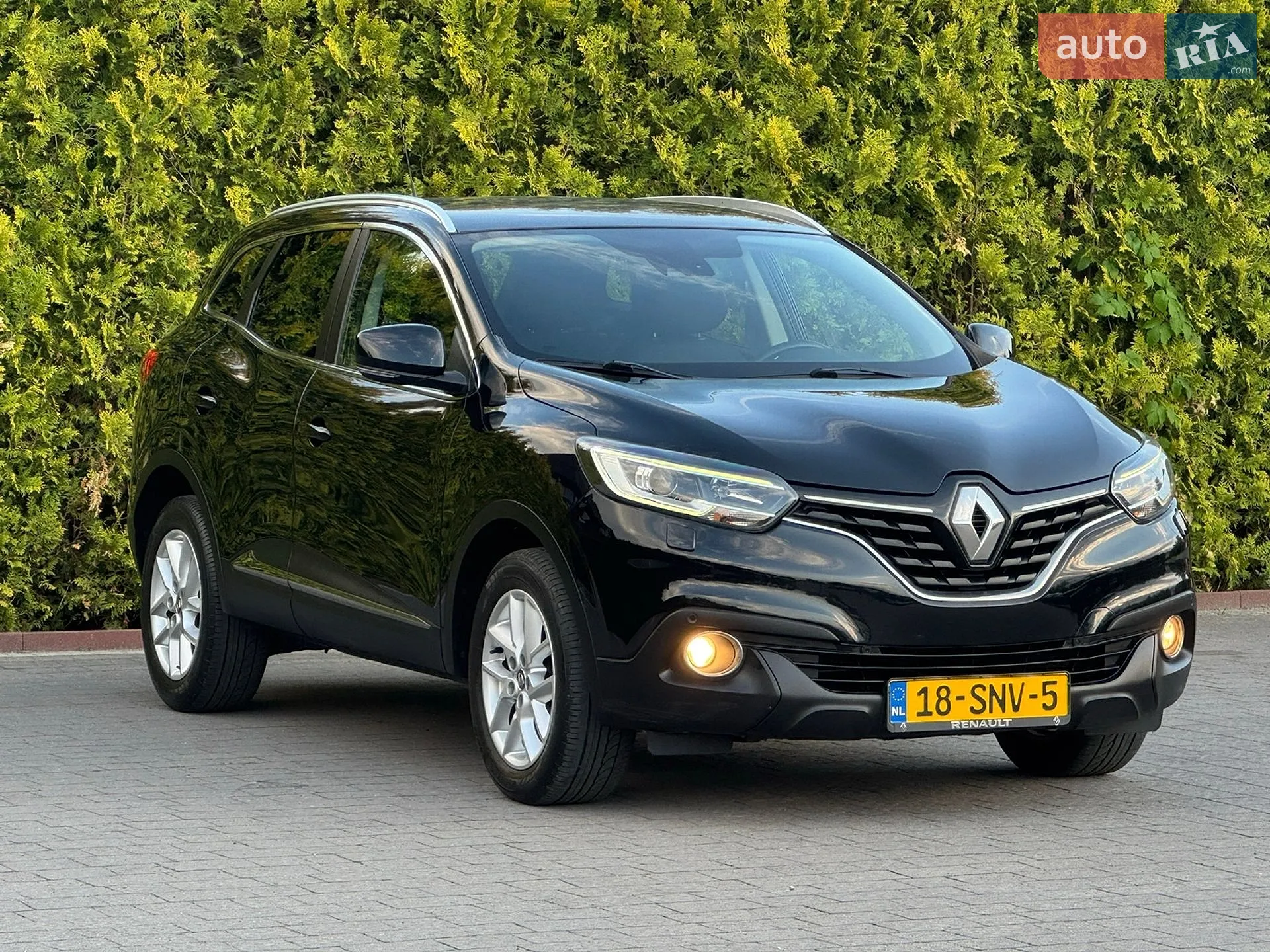 2018 Renault Kadjar - мініатюра 5