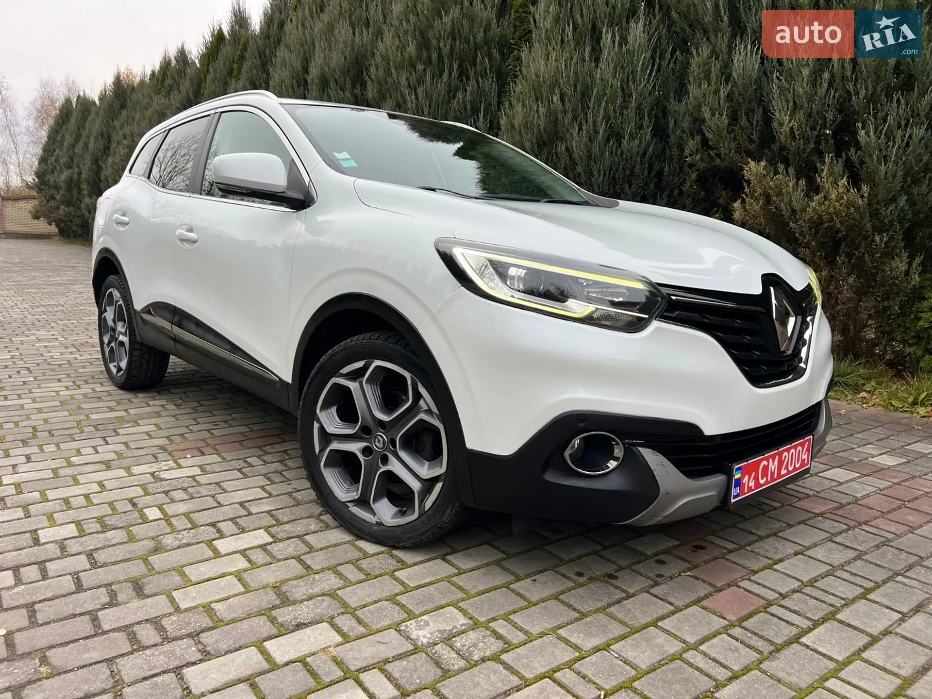 2015 Renault Kadjar - мініатюра 17